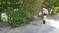 DSC05632
