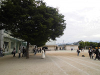 CIMG2428