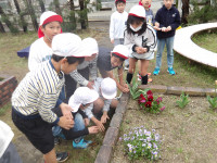 IMGP1440
