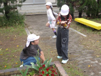 IMGP1442