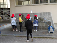 IMGP0955
