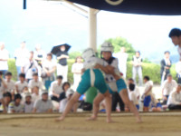 DSC09817