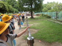 IMGP0022