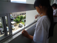 DSC00529