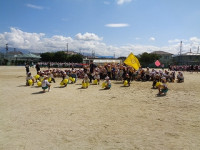 DSC07820