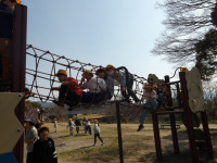 IMGP0788